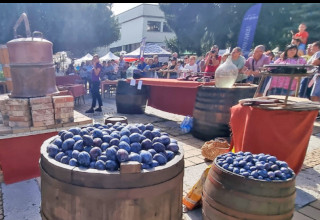 Bulgariens Gebirge - Das Balkangebirge: Trojan - Pflaumenfest Trojan und Orechak