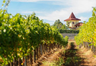 Weingut Rupel