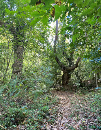 Klyuch Natur