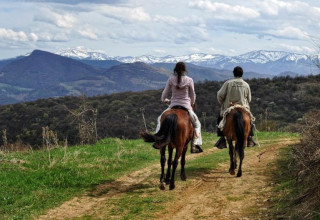 Reittourismus in Bulgarien