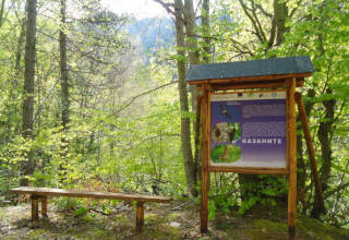 Rhodopen - Reservat Kazanite