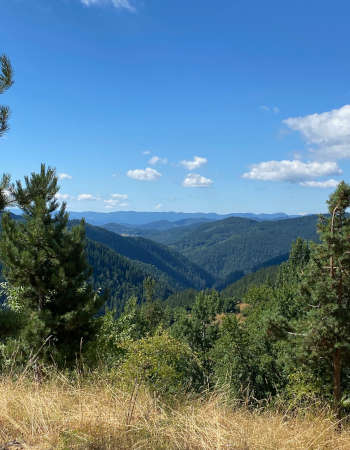Rhodopen Dupchov Stein