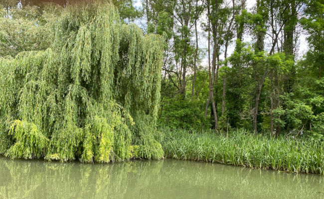 Die südliche Schwarzmeerküste in Bulgarien: Kamchia - Naturschutzgebiet