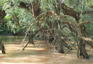 Russe - Naturpark Persina