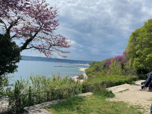 Meeresgarten - Blick auf das Meer